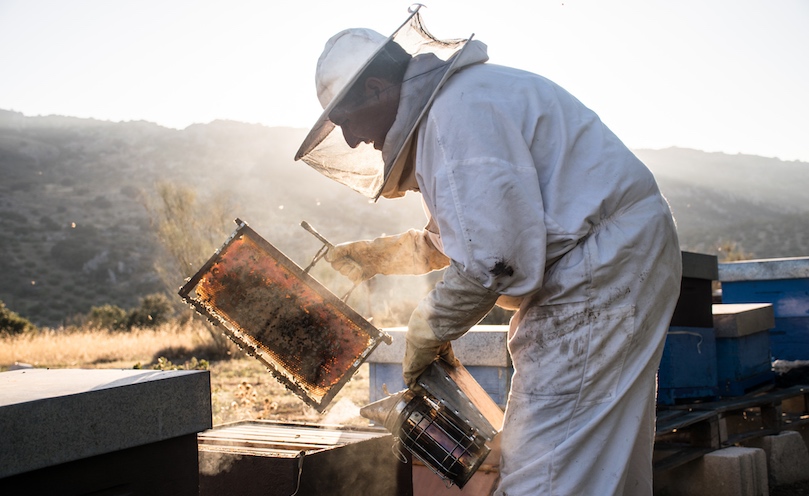 Mission d'un laboratoire français dédié à l'apiculture