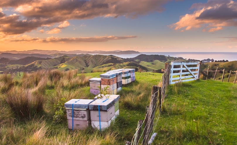 Véto-pharma, le laboratoire français dédié à l'apiculture, basé en France et tourné vers le monde