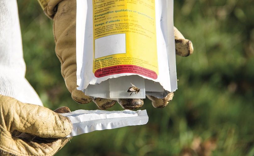 Nouveau traitement varroa utilisable en apiculture bio