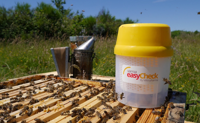 Varroa control strategy: Varroa EasyCheck is an easy-to-use varroa monitoring tool 