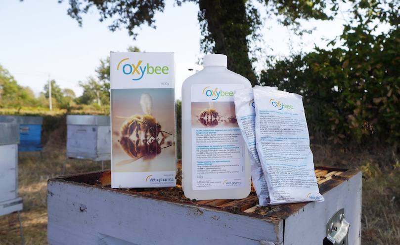 Oxybee varroa treatment: oxalic acid trickling made easy
