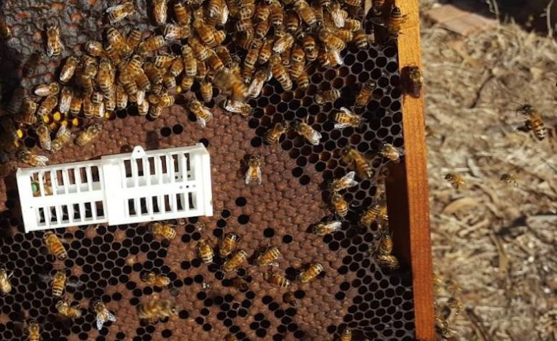 Combiner traitements et méthodes biomécaniques