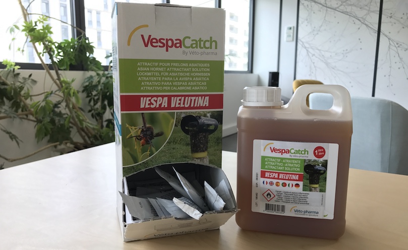 Maximise l’action sur les frelons asiatiques