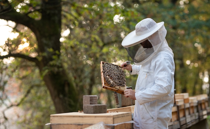 Over 25 years of commitments to beekeeping 