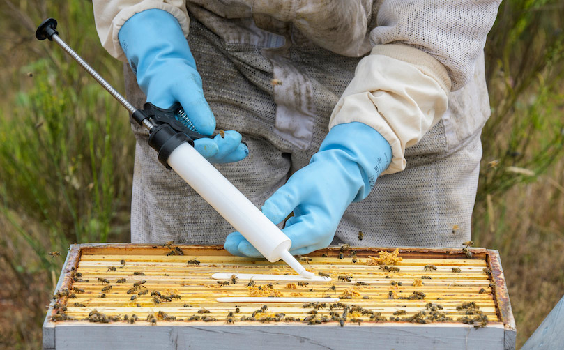 Application of 3ml of Amiflex gel in the hive
