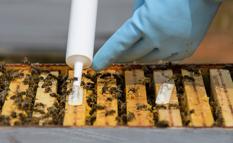 Amiflex is safe for the bees, the beekeeper and the hive products
