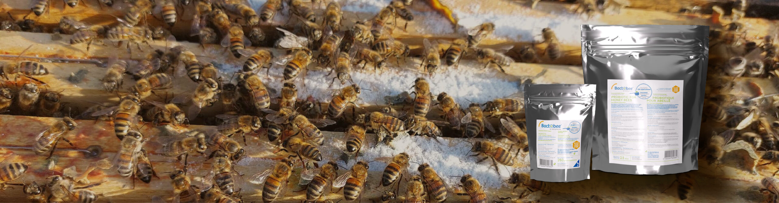 Webinaire Cas cliniques au rucher