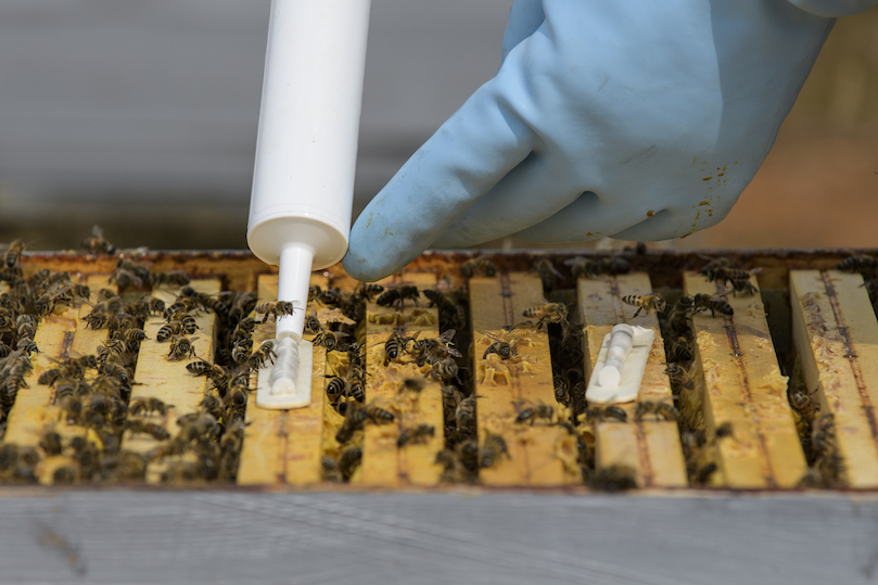 Amiflex 2.0 USA Amiflex 2.0 USA