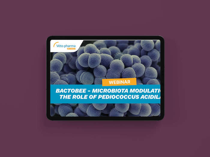 2. Webinar - Varroa 2.0 - Screening de nouvelles molécules contre Varroa destructor (1)
