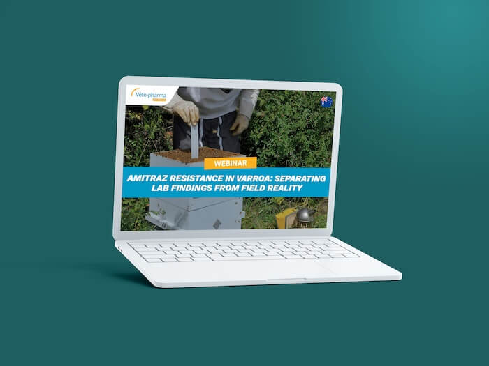 Webinar Australia
