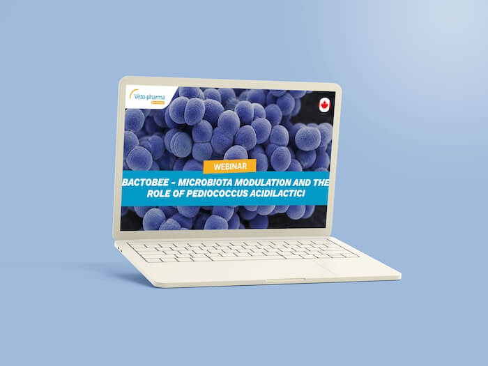 Webinaire_BactoBee_CA